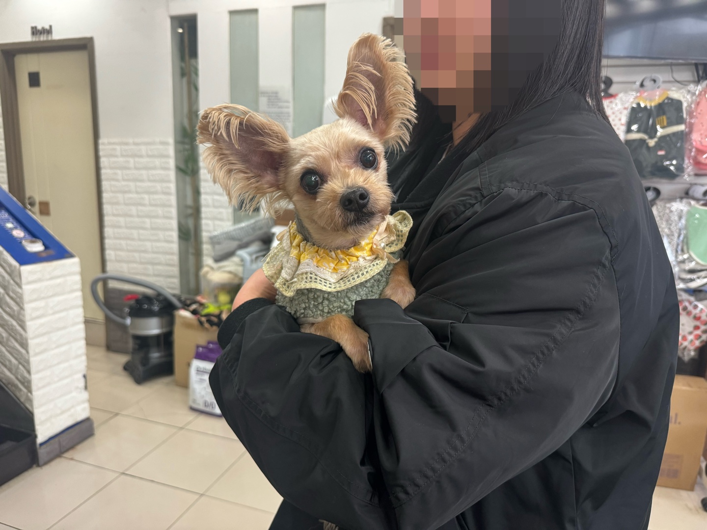 종료(반환) 요크셔…